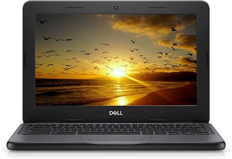 Dell - Portátil Chromebook 3180 - Intel Celeron N3060, 4 GB RAM, 64 GB ...