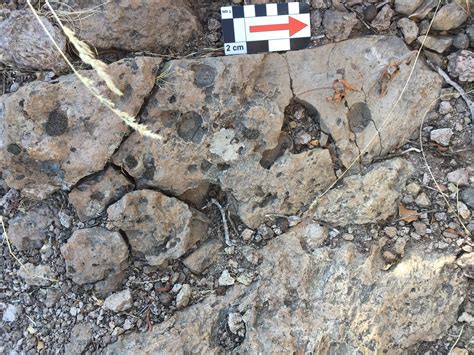 Image result for Pyroclastic Density Currents PDC's