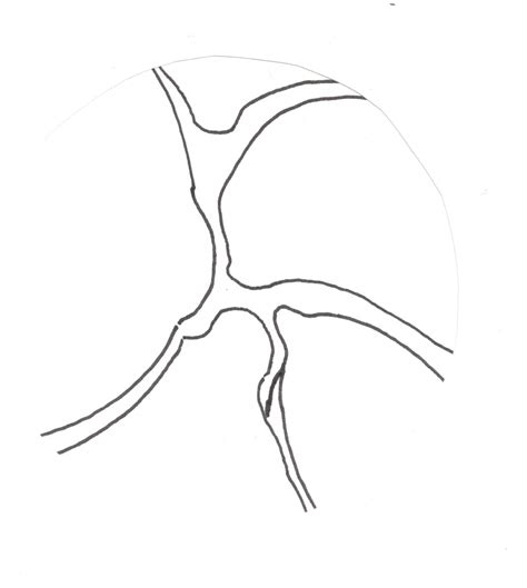 Bipo the Clown (@bipoTheClown@mstdn.social) - Mastodon 🐘