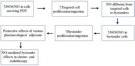 Pro-Tumor Activity of Endogenous Nitric Oxide in Anti-Tumor ...