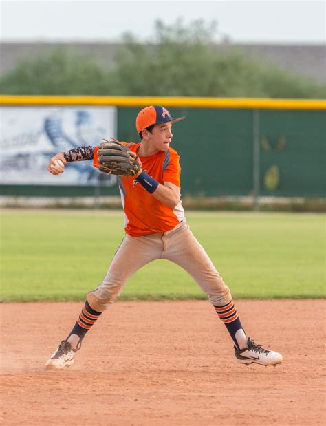 Baseball Netting 的图像结果