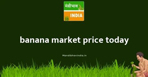 Banana Market Prices Today - 19 December 2025