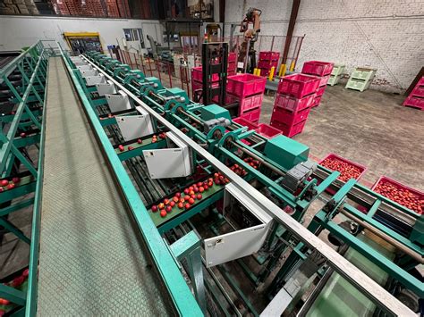 Image result for Greefa Sort Machine