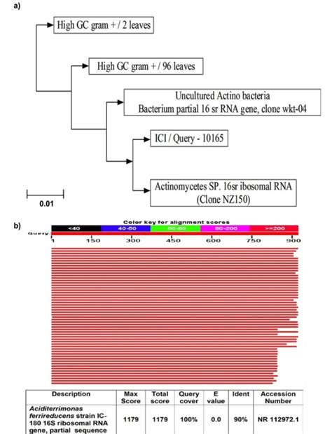 Antioxidant activity