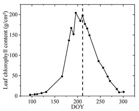 Validation of Sentinel-2, MODIS, CGLS, SAF, GLASS and C3S Leaf Area ...