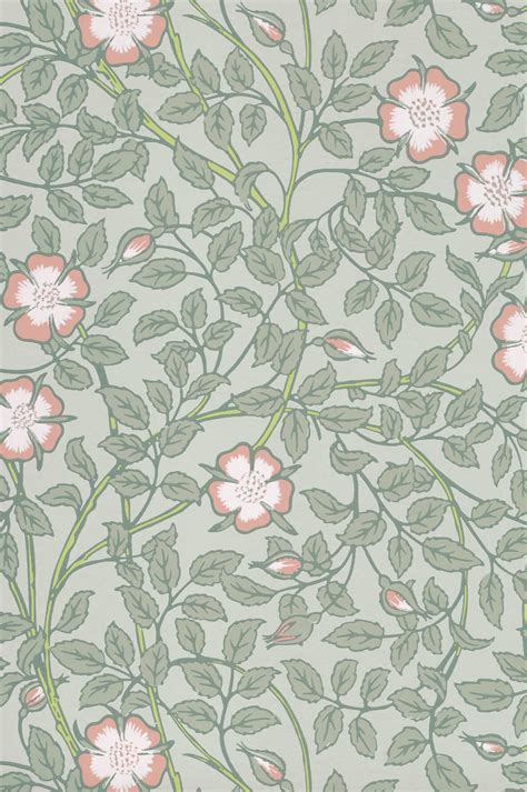 Buy Briar Rose Salix Light Green Wallpaper | Little Greene