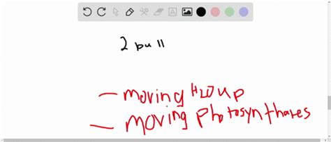 Image result for Bulk Process Flow