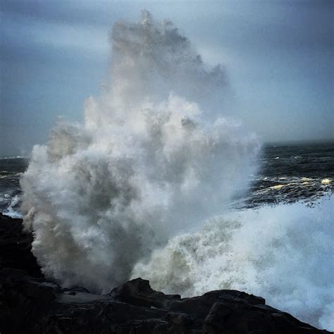 Image result for shore acres waves