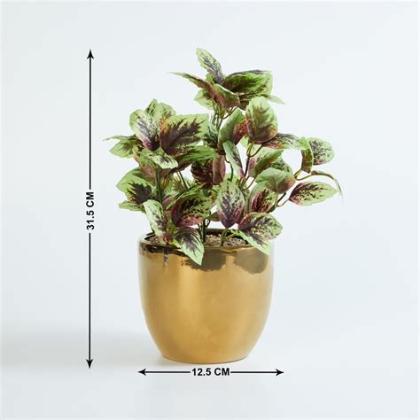 Buy Gardenia Artificial Plant in Pot from Home Centre at just INR 1499.0