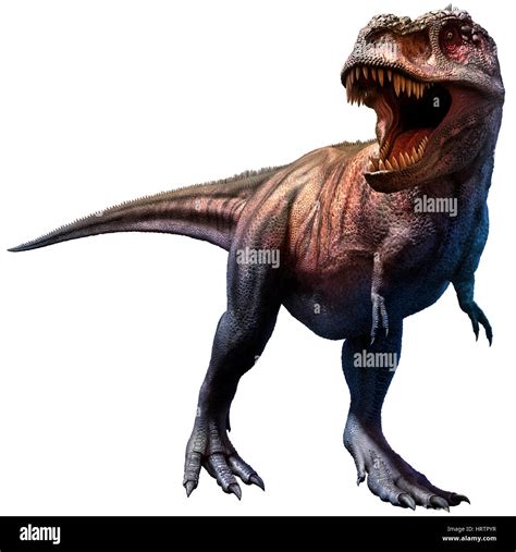 T rex roar hi-res stock photography and images - Alamy