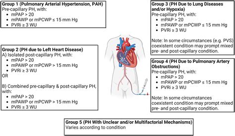 Pulmonary Hypertension in Children - Clinics in Chest Medicine
