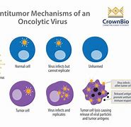 Image result for Oncolytic