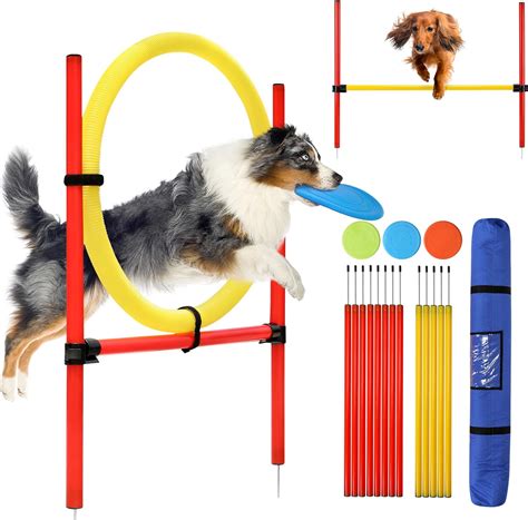 Amazon.com : Dog Agility Equipment Set 28 Piece Training Starter Kit ...