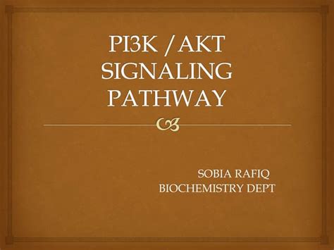 Image result for PI3K Pathway