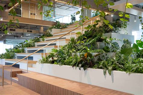 Case study: Australian native office plant hire | Advance Plants