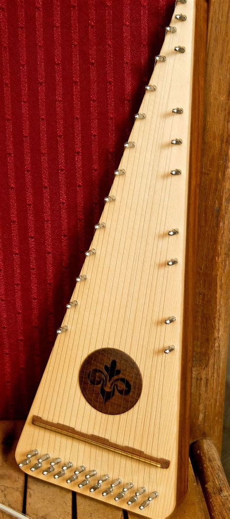 Image result for Unusual String Instruments