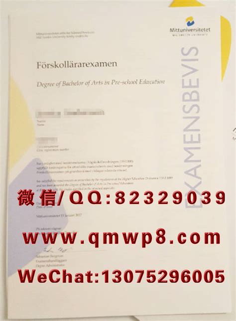 德国文凭办理 归档 - 纳贤文凭机构 专注于德国文凭办理，德国大学毕业证