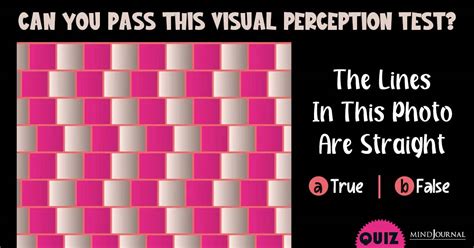 Image result for Developmental Test of Visual Perception