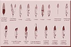signification des plumes signification des plumes message de nos guides anges signification des plumes signification des plumes message de nos guides anges