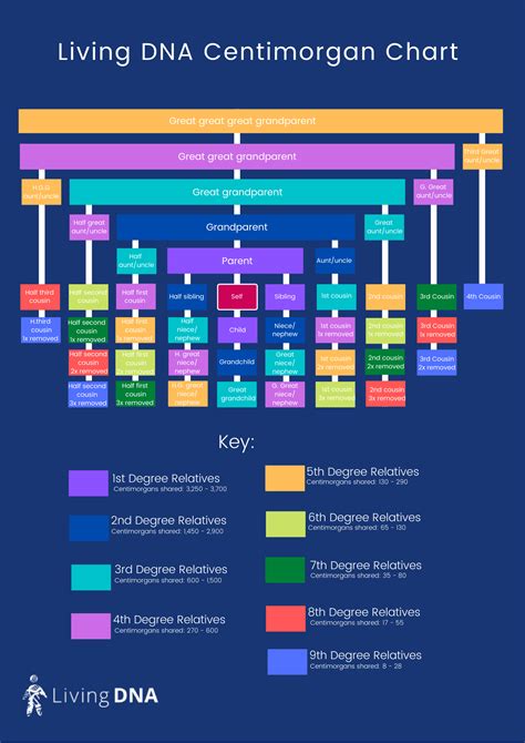 DNA Centimorgans & Segments Explained