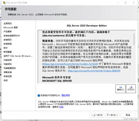 Microsoft SQL Server 的图像结果