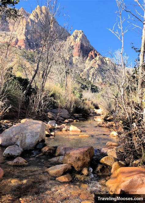 Image result for Loop Pimple