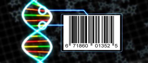 Image result for DNA Barcoding Plants