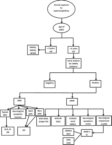 Image result for Nephrohydrosis Algorithm