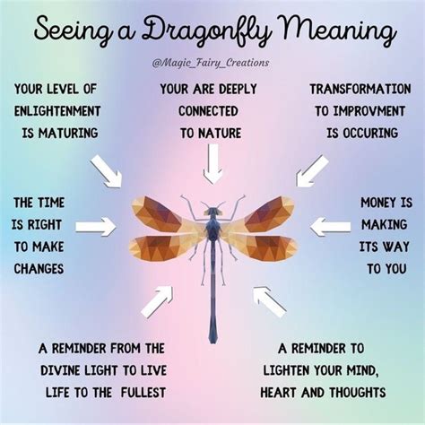 What it means when you see a dragonfly – Artofit