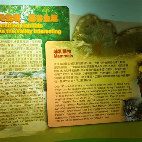 Shing Mun Country Park Visitor Centre (Hong Kong) - All You Need to ...