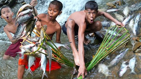 Primitive Cooking Fish 的图像结果