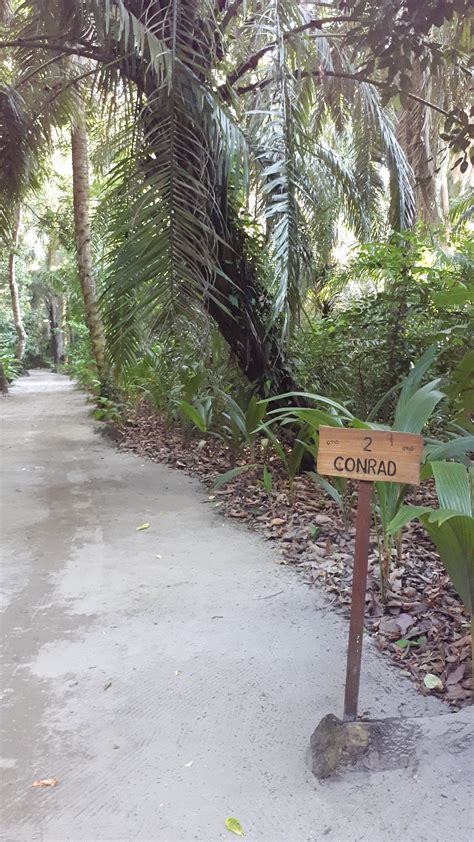 ISLA PALENQUE RESORT (Boca Chica) - Hotel Reviews, Photos, Rate ...