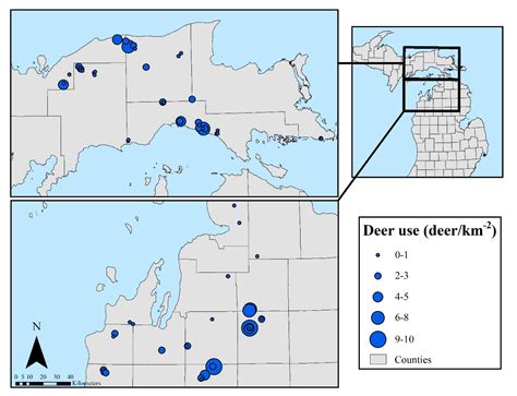 Tree Regeneration Structure Following Beech Bark Disease-Motivated ...