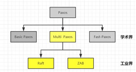 paxos 的图像结果