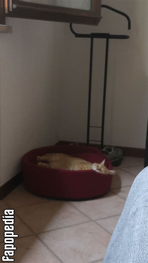 Codi Vore Nude OnlyFans Leaks - Photo #1322010 - Fapopedia