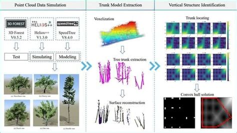 An Improved Method for Single Tree Trunk Extraction Based on LiDAR Data