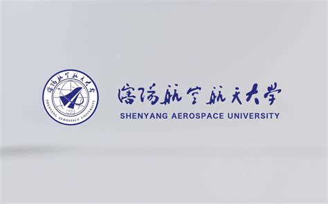沈阳航空航天大学 - 沈阳航空航天大学 - 汉语桥团组在线体验平台