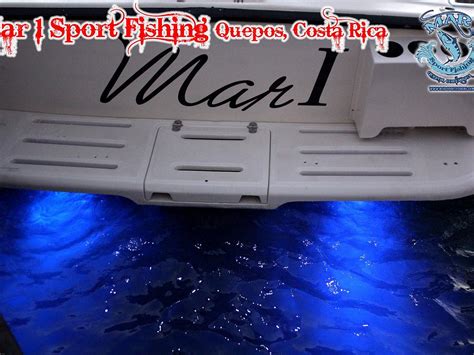 MAR 1 SPORT FISHING QUEPOS DAY TRIPS Guide (2026) All You Need to Know ...