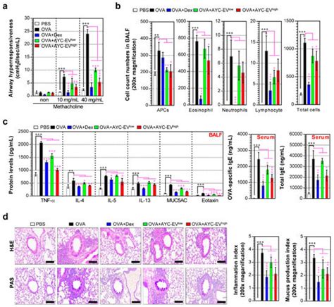 Immunological Effects of Aster yomena Callus-Derived Extracellular ...