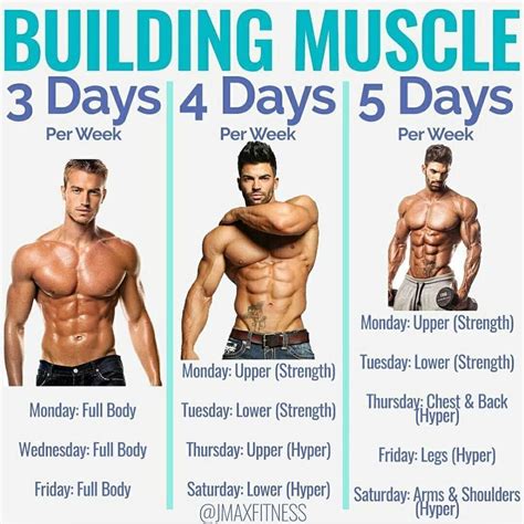 3 day gym split