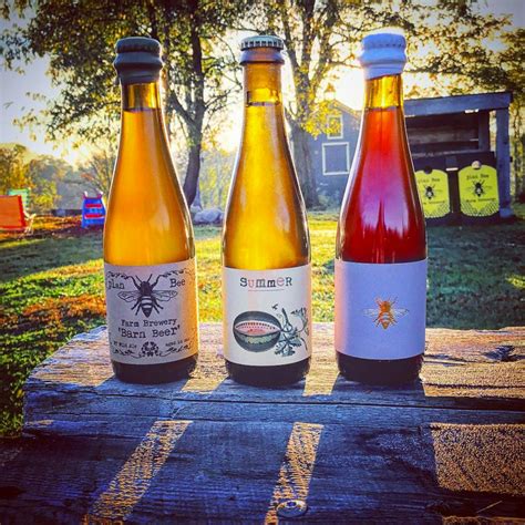 Plan Bee Farm Brewery | Craft Collective