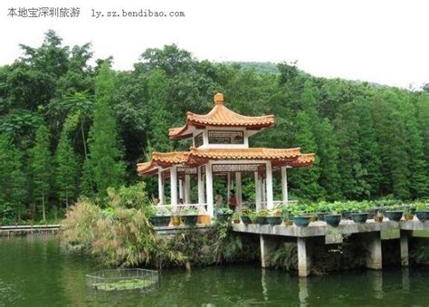 2023仙湖植物园游玩攻略,深圳本身景点不多，相对而言...【去哪儿攻略】