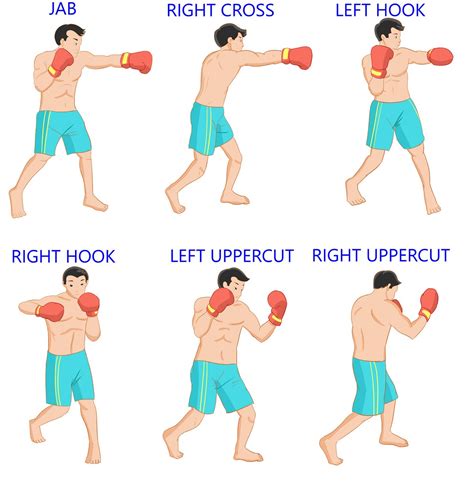 Basics In Boxing at Andrew Gillan blog