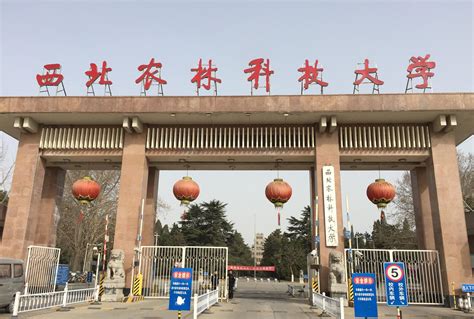 咸宁校区校园风光-湖北商贸学院招生信息网