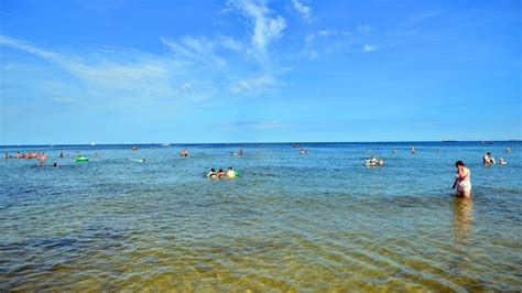 Swimming Beach 的图像结果