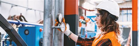 Image result for Visual Inspection Testing PNG