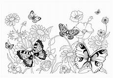 malvorlagen schmetterlinge malvorlage schmetterling kostenlos 5 malvorlage malvorlagen schmetterlinge malvorlage schmetterling kostenlos 5 malvorlage
