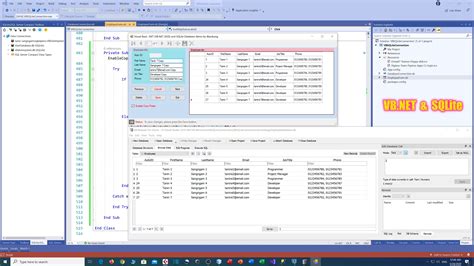 Vb.net SQL Server Sample Project 的图像结果