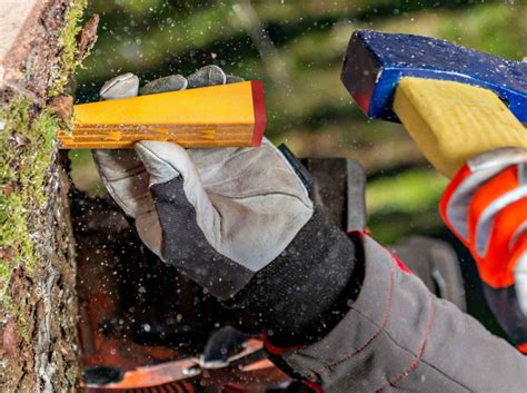 Rezultat imagine pentru Using Tree Felling Wedges