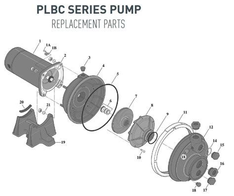 Image result for Replace Motor On Sta-Rite Pool Pump